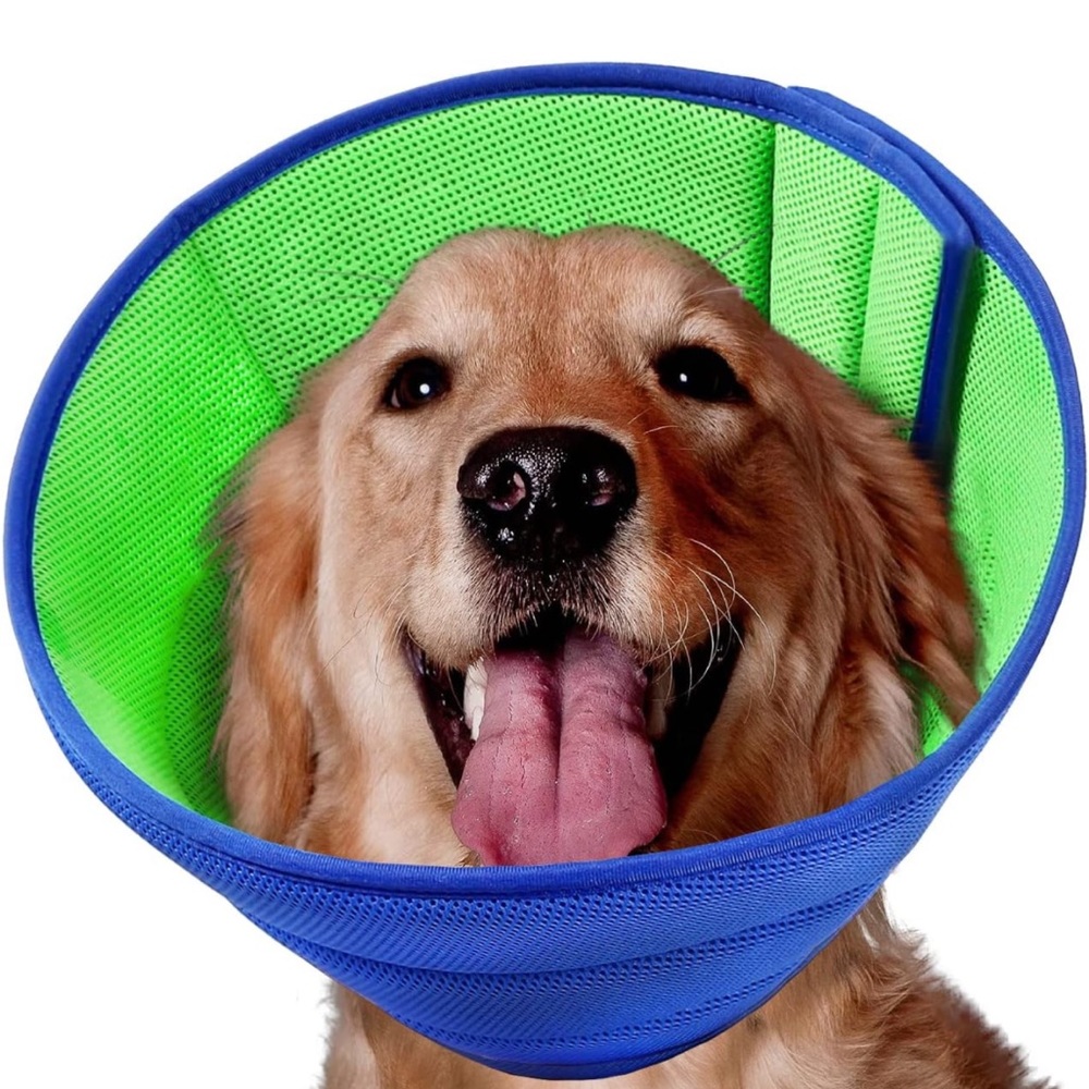 NWOT - Boomaker Extra Soft Dog Cone Alternative After Surgery!